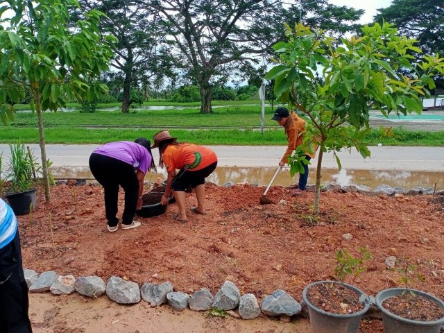 โครงการ 1 อปท. 1 สวนสมุนไพร เฉลิมพระเกียรติ พระบาทสมเด็จพระเจ้าอยู่หัวเนื่องในโอกาสวันเฉลิมพระชนมพ